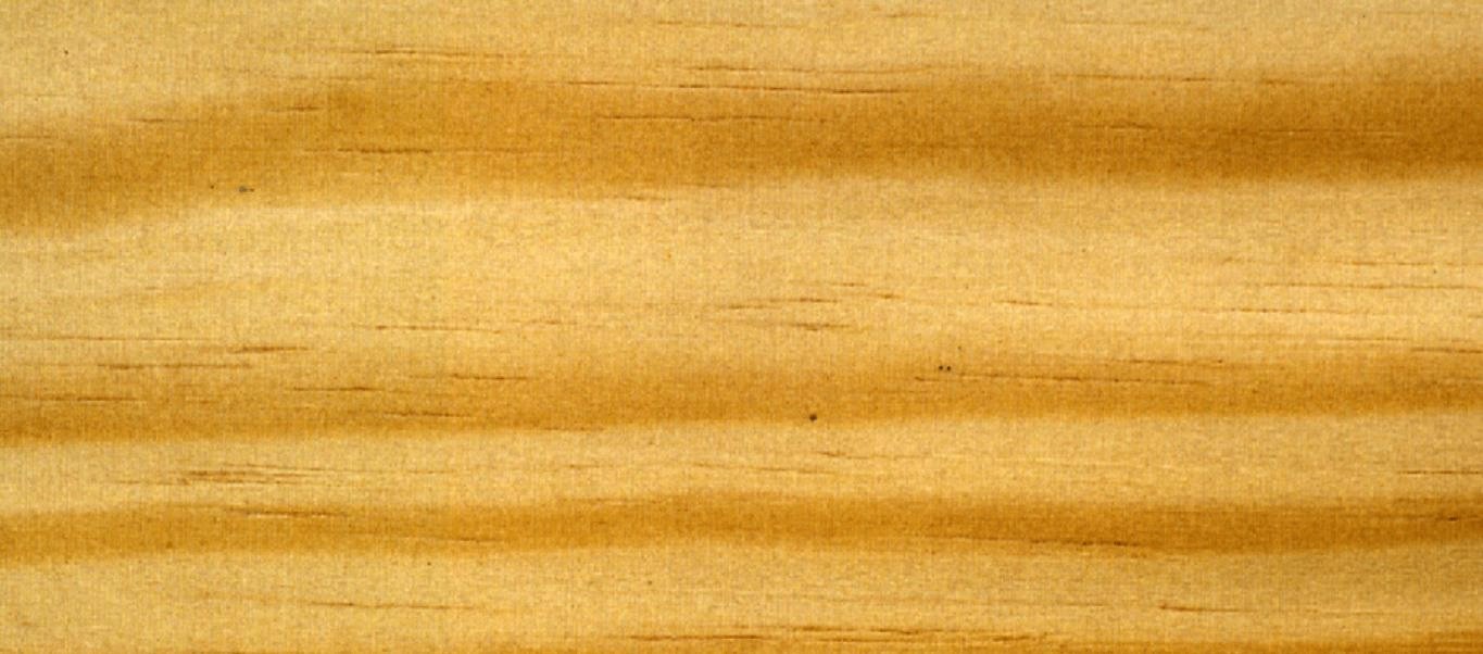 pin-jaune-du-sud