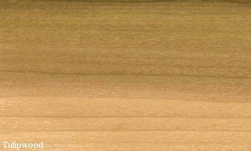 tulipier-(poplar)