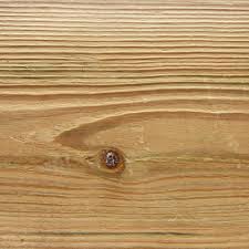russian-red-pine